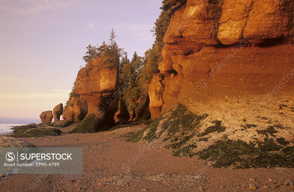 Hopewell Rocks Provincial Park with distinctive eroded rock formations, New Brunswick, Canada