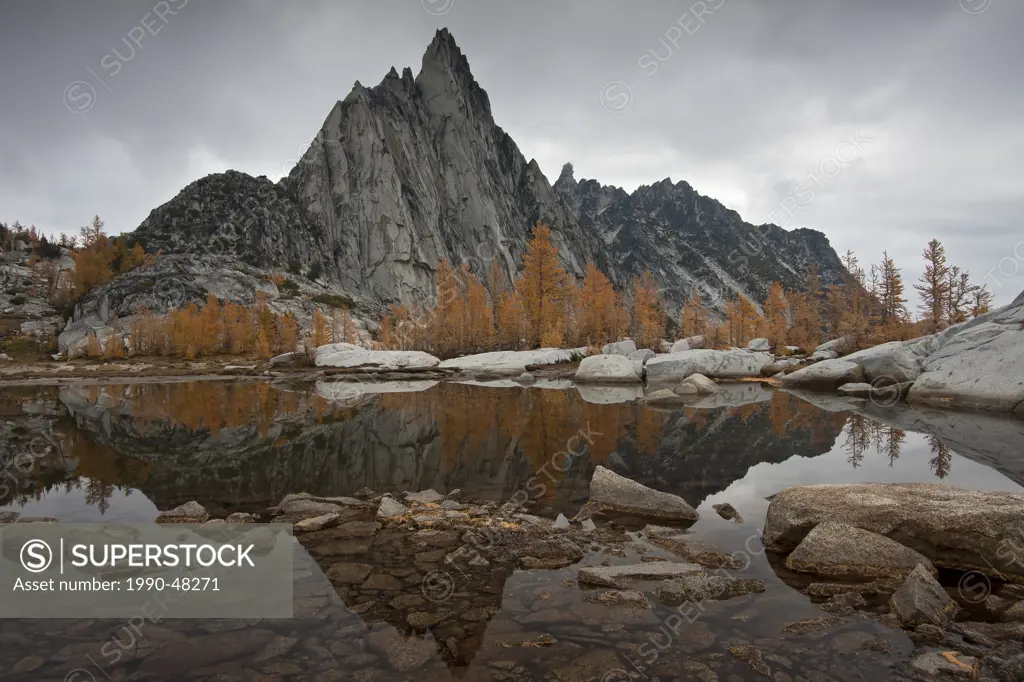 Prusik Peak and Larches Reflected in Gnome Tarn, Upper Enchantments, Alpine Lakes Wilderness, Washington State, USA