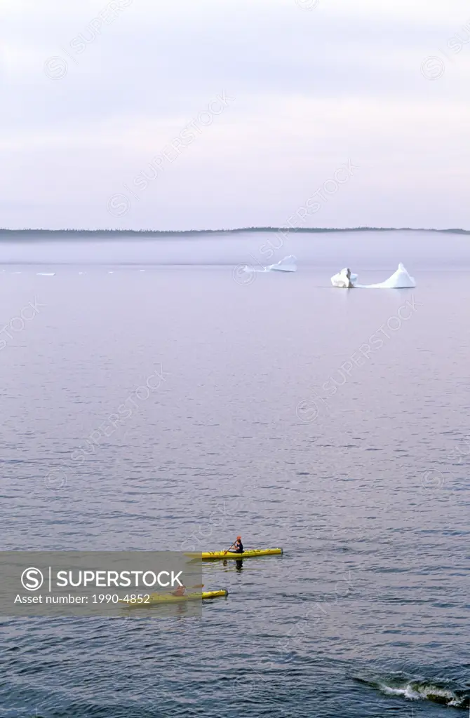 Kayakers in Witless Bay Ecological Reserve  Icebergs in the background, Newfoundland, Canada
