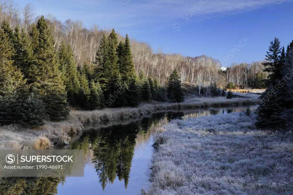 Junction Creek with frosted shoreline grasses, Lively, Greater Sudbury, Ontario, Canada