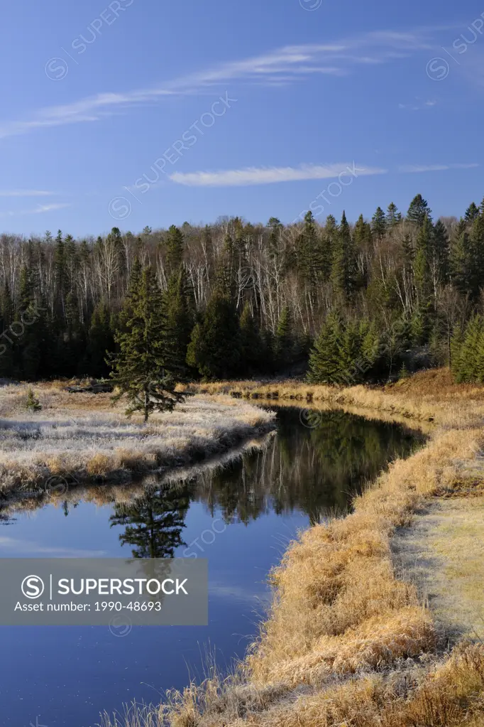 Junction Creek with frosted shoreline grasses, Lively, Greater Sudbury, Ontario, Canada