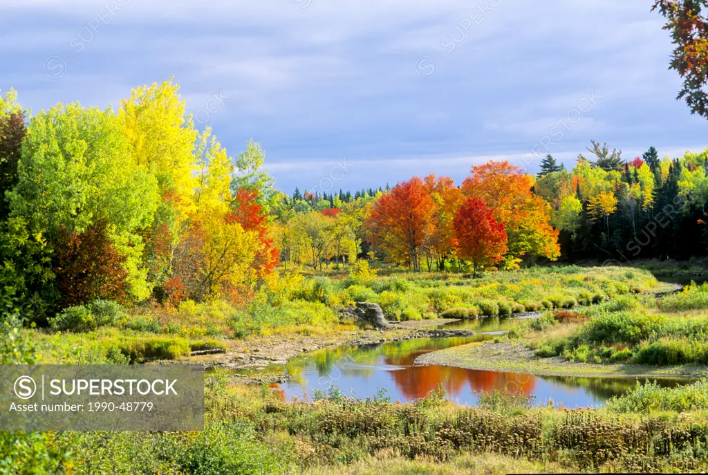 Fall foliage, Collingwood Corner, Nova Scotia, Canada