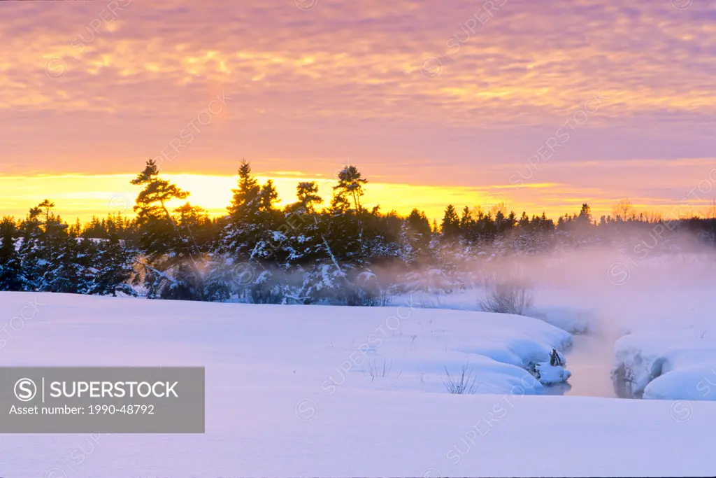 Brook in winter at sunset, Harrington, Prince Edward Island, Canada