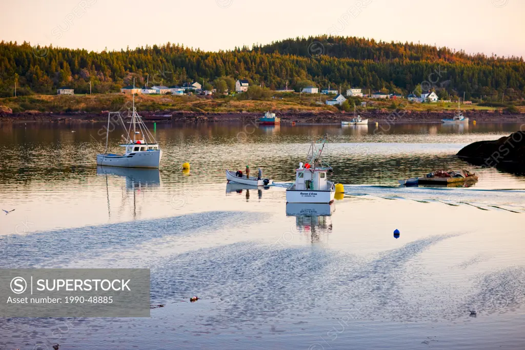Fishermen leaving Blacks Harbour at dawn, Bay of Fundy, New Brunswick, Canada