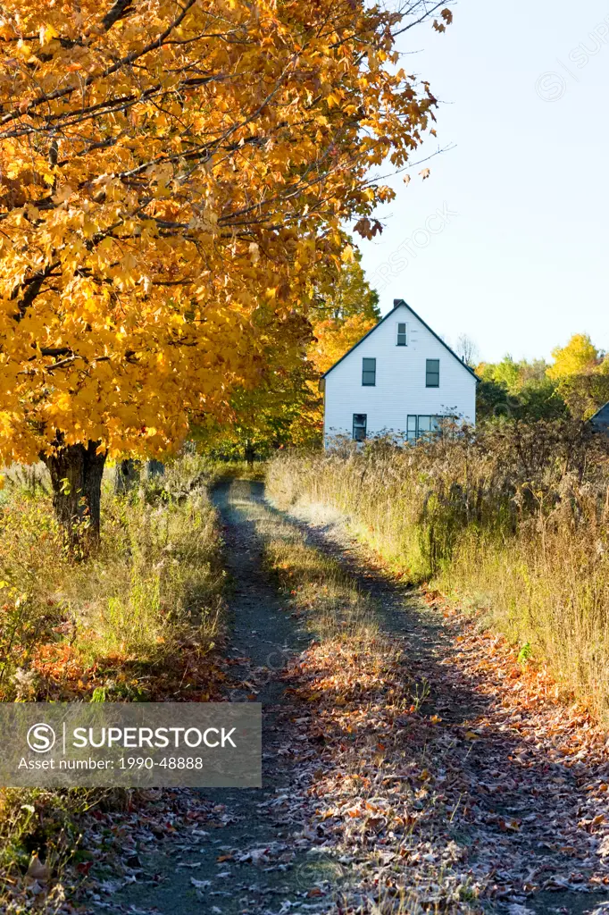 Fall foliage and house, Saint John River Valley, Fredericton, New Brunswick, Canada