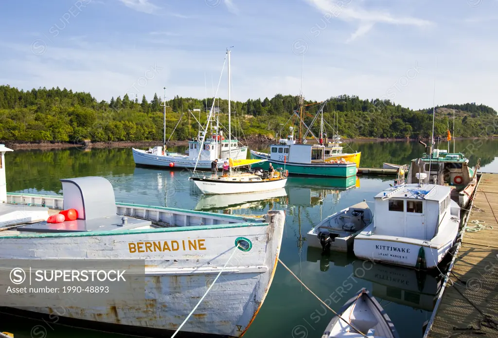 Fishing boats tied up at wharf, Black´s Harbour, Bay of Fundy, New Brunswick, Canada