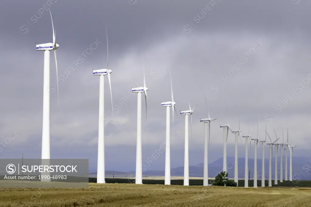A row of Vestas wind turbines near Pincher Creek, Alberta, Canada