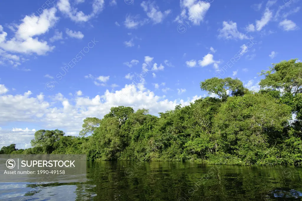 Pantanl wetlands, Southwestern Brazil, South America