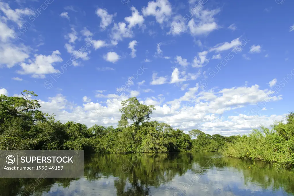 Pantanl wetlands, Southwestern Brazil, South America