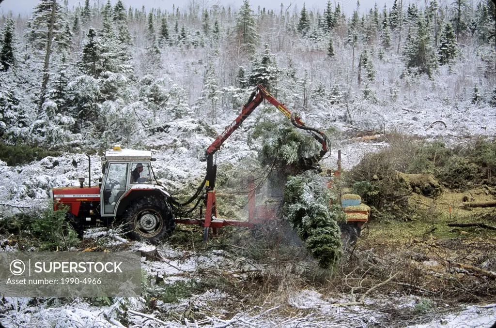Logging in Truro, Nova Scotia, Canada