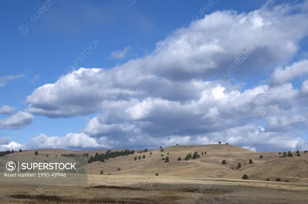 Scenic of prairie grasslands and clouds in Wind Cave National Park, South Dakota.