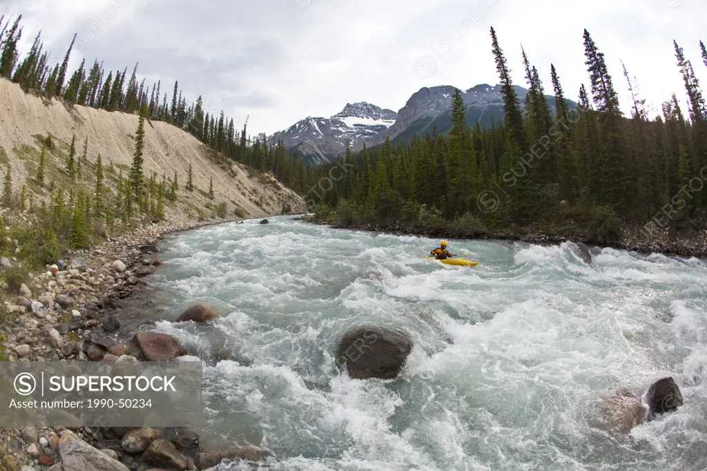 Two male kayakers paddle the continuous whitewater of the Mystia River 3+, Banff National Park, Alberta, Canada