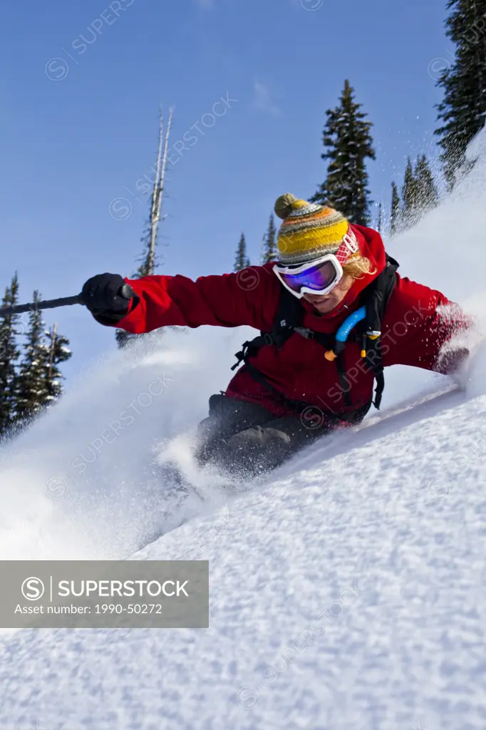 A young man skis some fresh powder while backcountry skiing in the monahees mountains, British Columbia, Canada