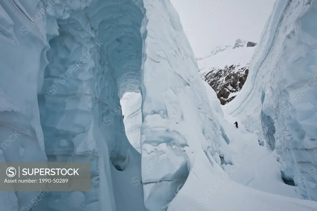 A male backcountry skier weaves his way up a heaily crevassed glacier. Icefall Lodge, Golden, British Columbia, Canada