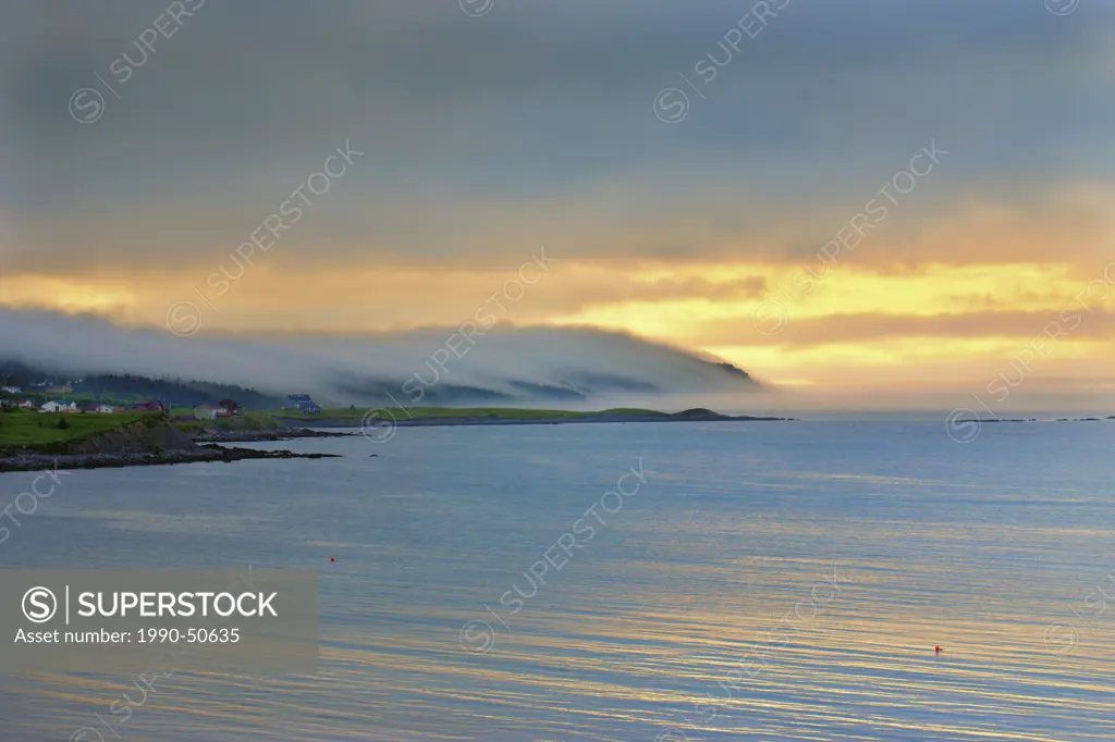 Fog covered coastline, Witless Bay, Newfoundland, Canada