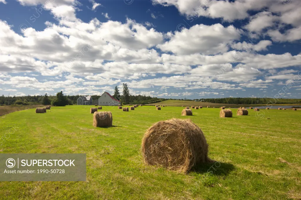 Baled hay and farm, Acadian Coast, New Brunswick, Canada