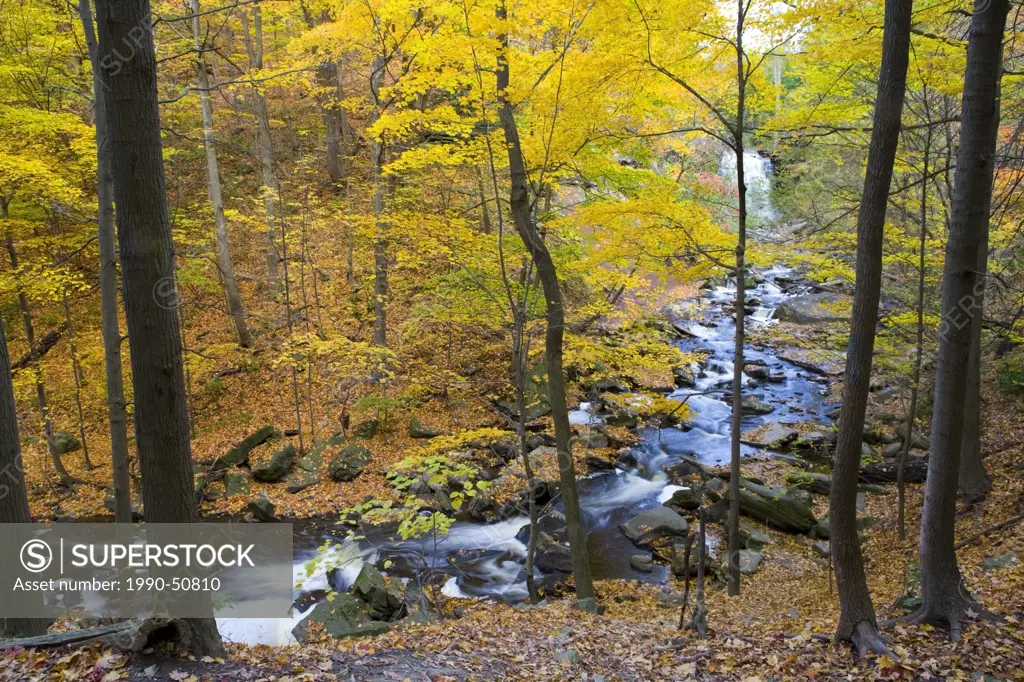 Grindstone Creek and Grand Falls in fall, Bruce Trail, Niagara Escarpment, Hamilton, Ontario, Canada