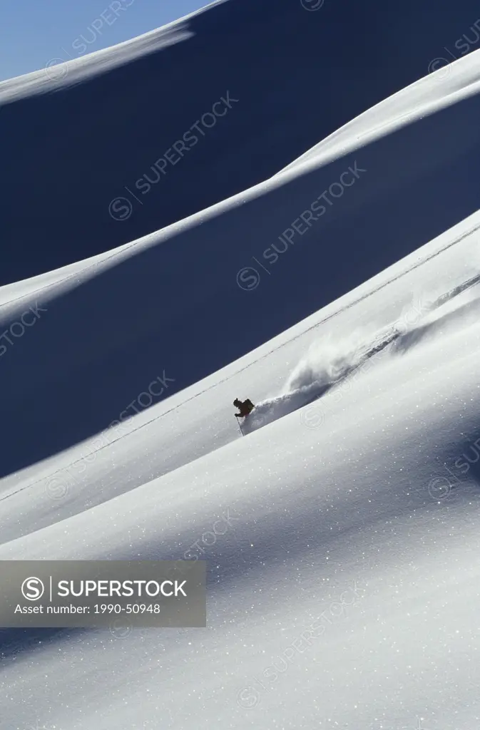Backcountry skier skiing fresh deep powder at Rogers Pass, Glacier National Park, near Revelstoke