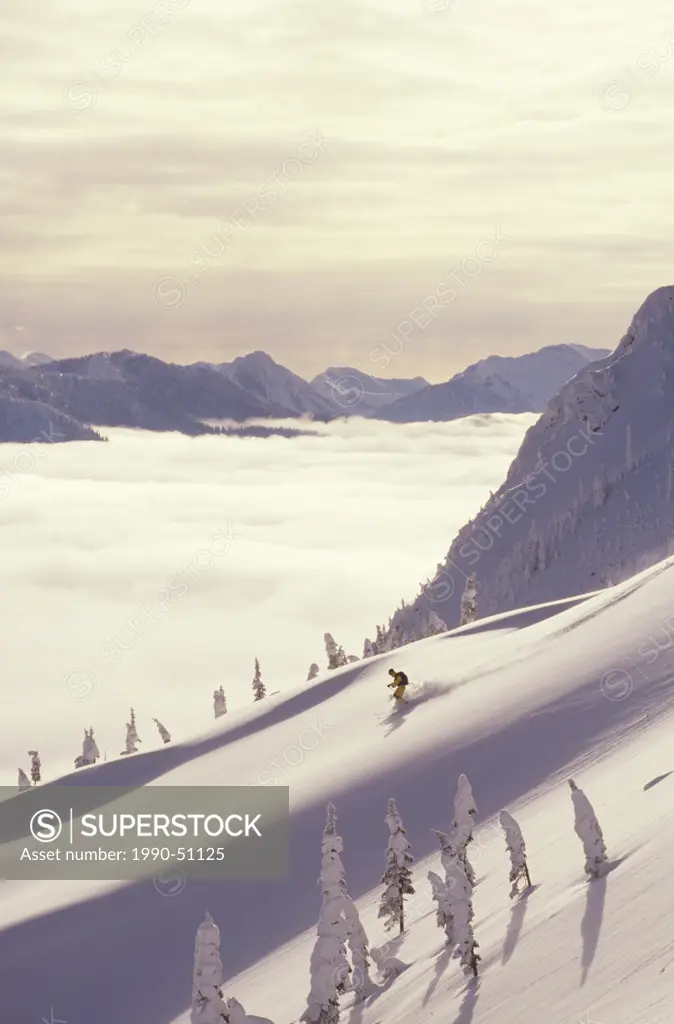 Skiing powder near Thunder Medow, Lizard Range, Fernie, British Columbia, Canada.