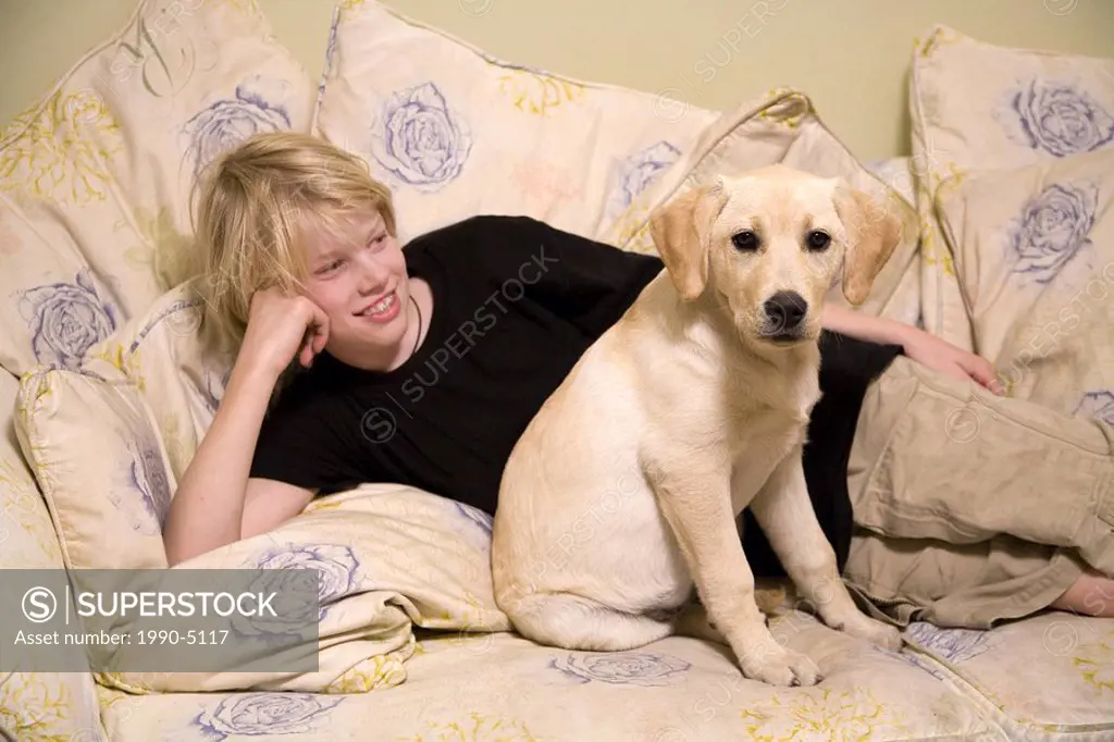 13-year-old boy and four-month-old labrador-golden retriever puppy on couch, Vancouver, British Columbia, Canada