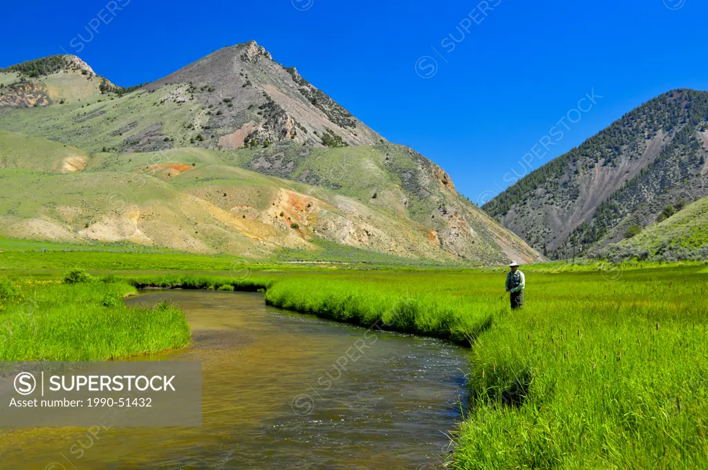 Man fly fishing, Sheep Creek, Montana, United States of America