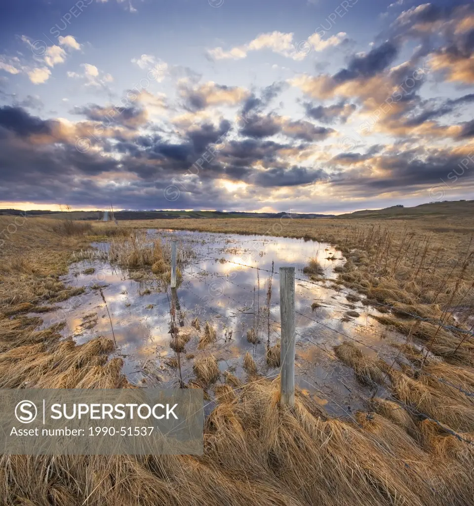 Fence and spring melt in pasture near Cochrane, Alberta, Canada.