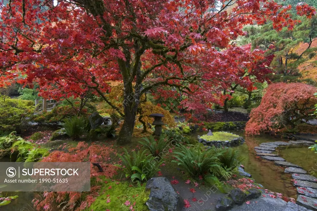 Japanese Garden in autumn at the Butchart Gardens, Victoria, Vancouver Island, British Columbia, Canada