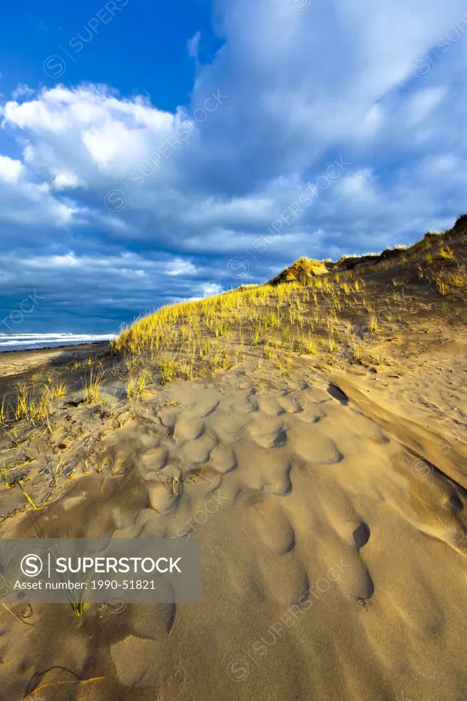 Sand Dune, Cavendish Beach, Prince Edward Island National Park, Prince Edward Island, Canada