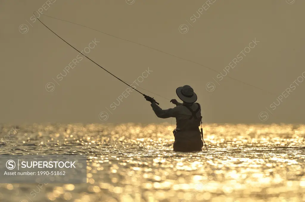Fly Fisherman on inside coast of South Padre Island, Texas, United States of America
