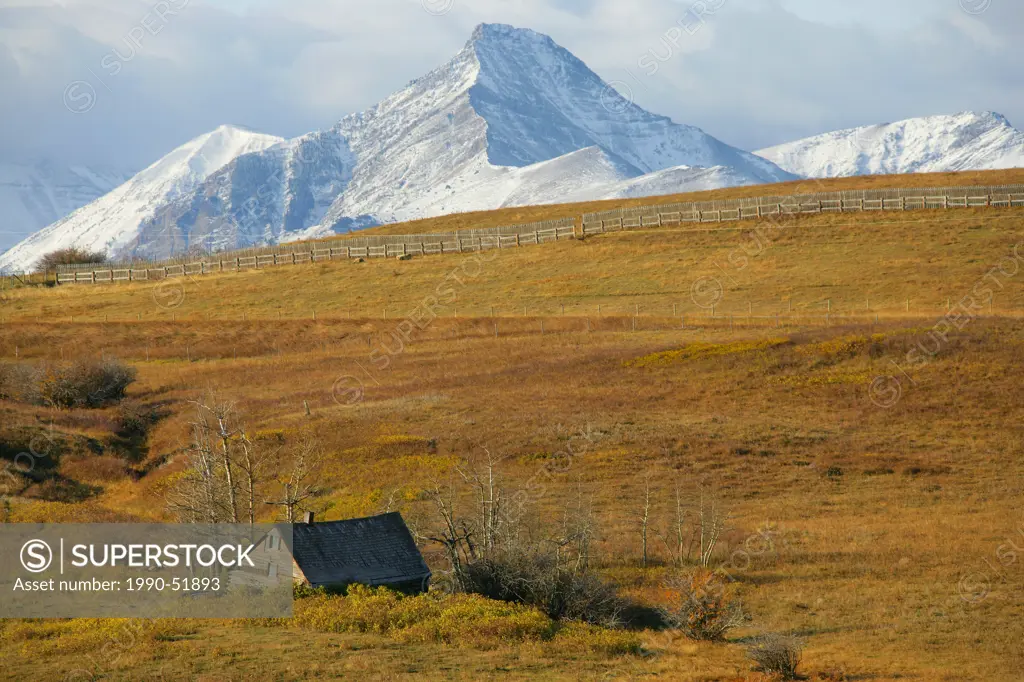 Old abandoned farmstead with mountains for Waterton National Park in the distance, outside of Pincher Creek, Alberta, Canada