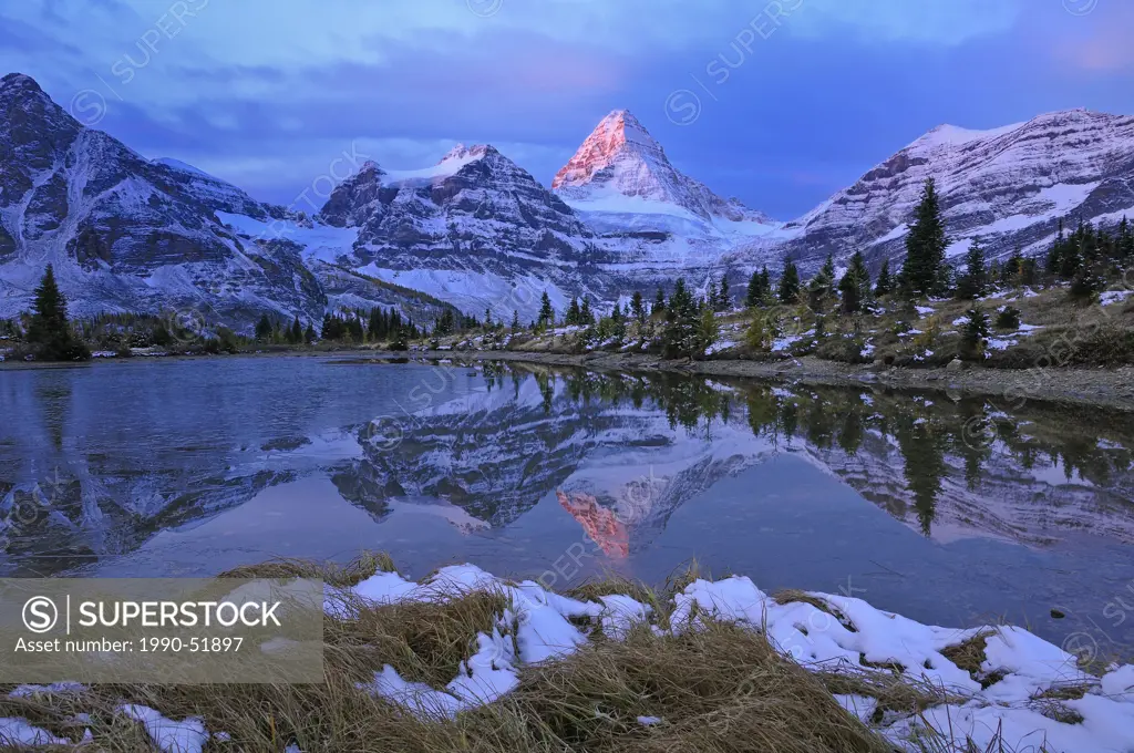 Mount Assiniboine reflected in pond at dawn, Mount Assiniboine Provincial Park, Rocky Mountains, British Columbia, Canada