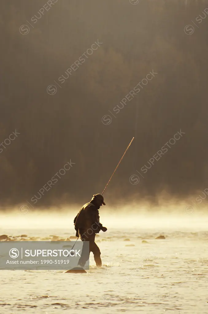Flyfisherman wading into river, Bulkley river, Smithers, British Columbia, Canada.