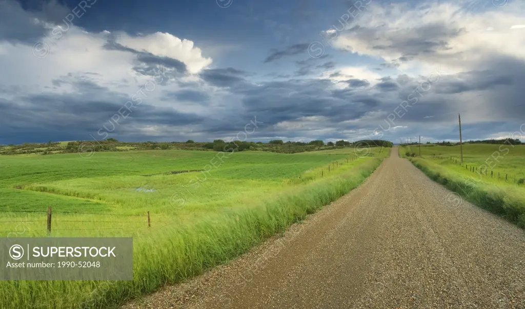 Country road, field, and fence with storm clouds near Cochrane, Alberta, Canada