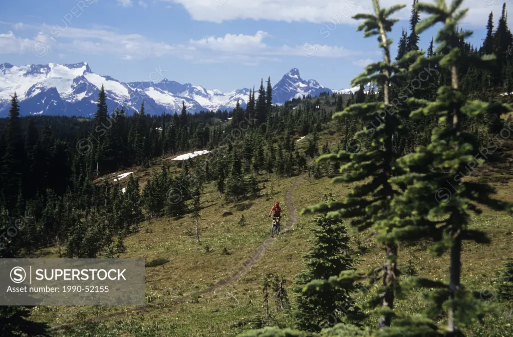 Woman mountain biking in Revelstoke, British Columbia, Canada.