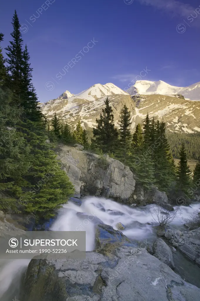 Hilda Peak and Mount Athabasca with Wilcox Creek, Columbia Icefields, Jasper National Park, Alberta, Canada