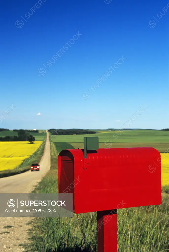 mailbox along country road with grain and canola fields in the background, near Somerset, Manitoba, Canada,