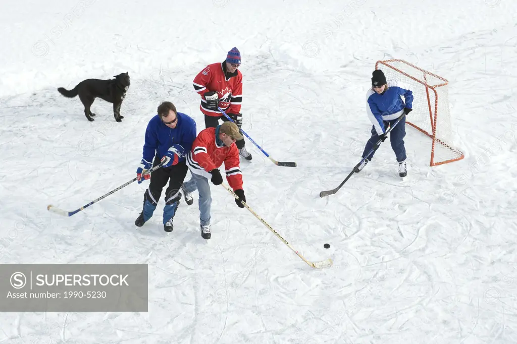 Three males and one female playing hockey on frozen lake, Alberta, Canada