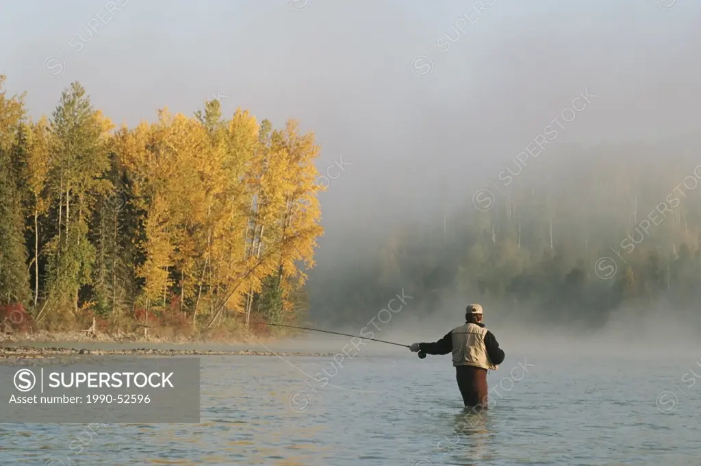 Flyfisherman fishing for steelhead, Bulkley river, Smithers, British Columbia, Canada.