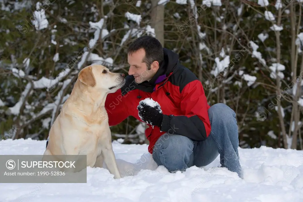 A young man plans with his golden labrador dog in snow during winter, on the Bruce Peninsula, Ontario, Canada.
