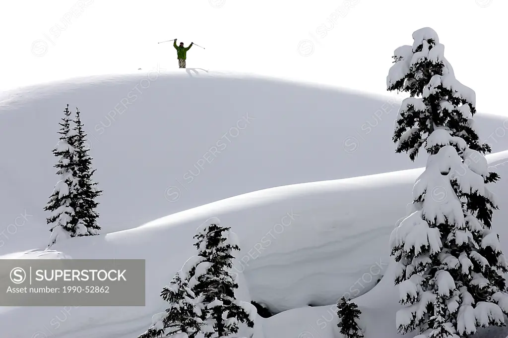 skier on ridge, Whistler, BC, Canada