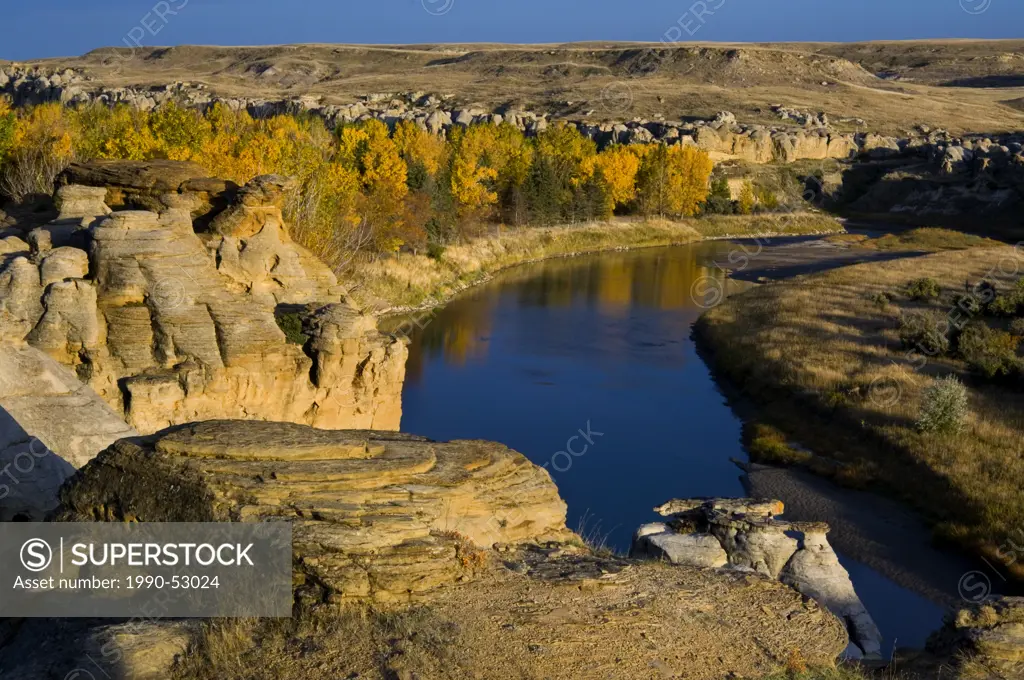 Sandstone hoodoos in Milk River Valley with fall cottonwoods, Writing_On_Stone Provincial Park, alberta, canada.