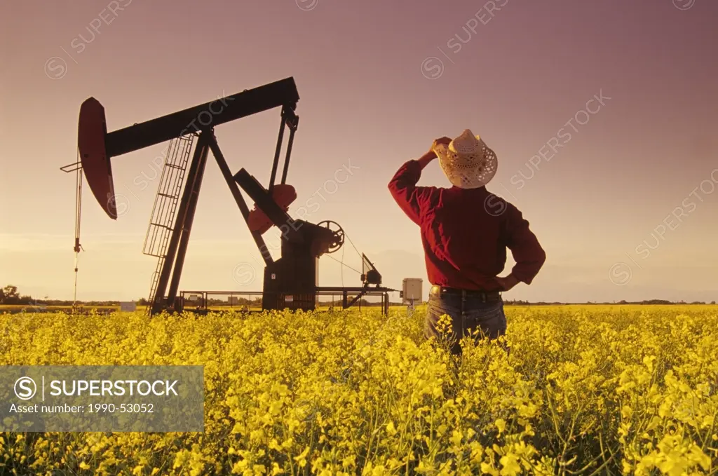 A farmer looks out over a blooming canola field with an oil pumpjack in the background near Carlyle, Saskatchewan, Canada