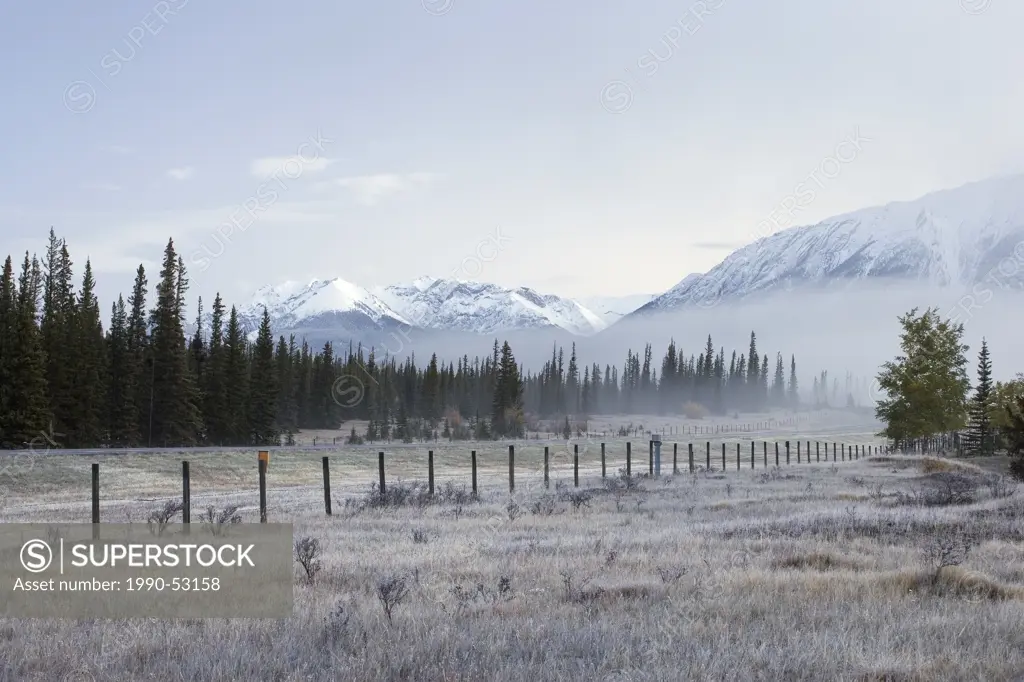 Fence line along the Kootenay Plains Ecological Reserve, Bighorn Wildlands, Alberta, Canada