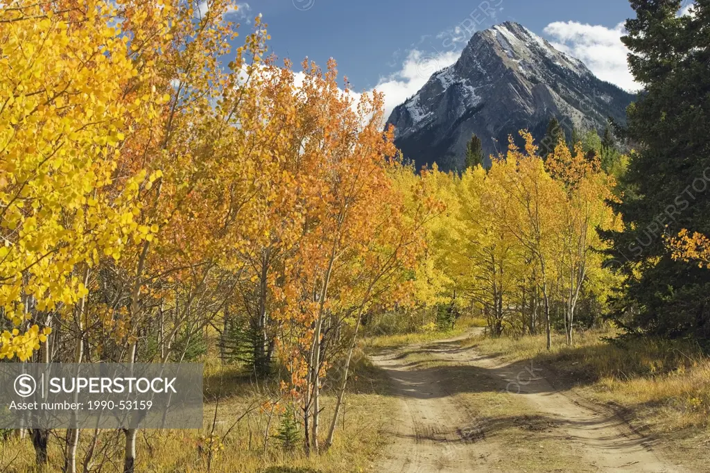 Fall colours with Ex Coelis Mountain at Preacher´s Point, Kootenay Plains, Alberta, Canada