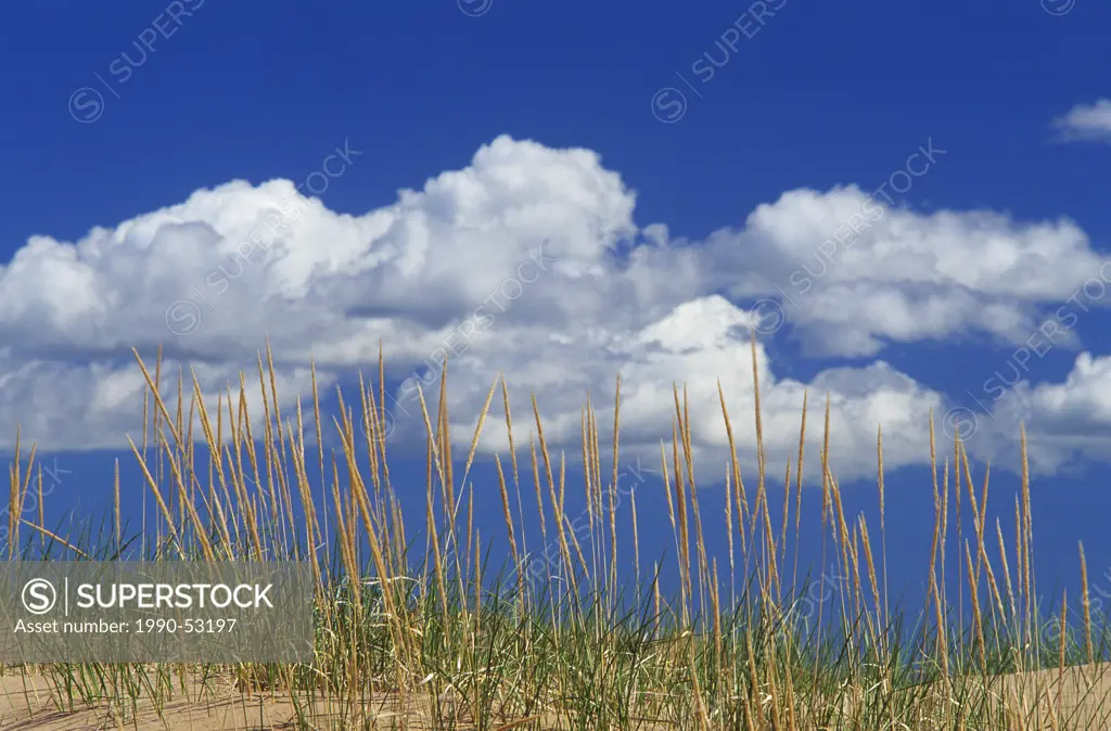 Dunes, Prince Edward Island National Park, Canada.