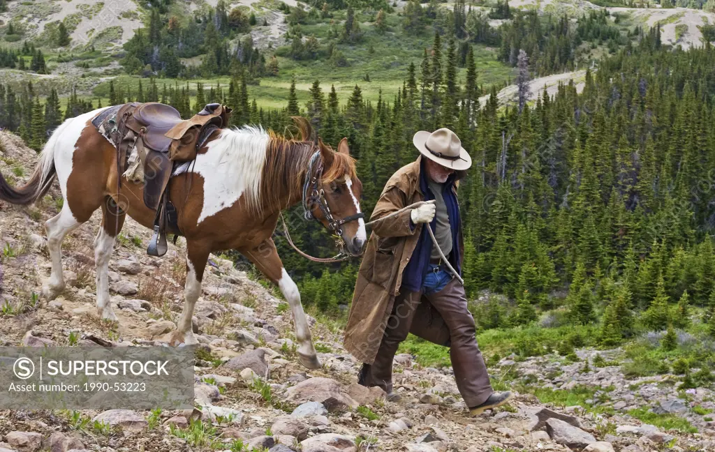 trail rider walks his horse in the Itcha Mountains in British Columbia Canada