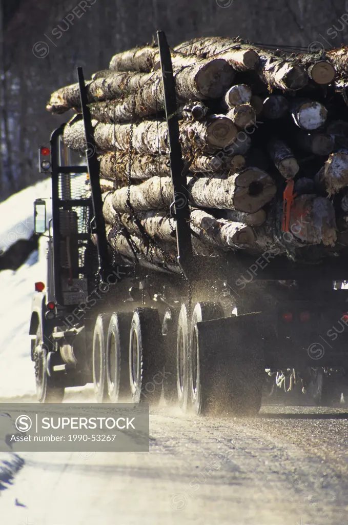Loaded logging truck headed to sawmill, Smithers, British Columbia, Canada.