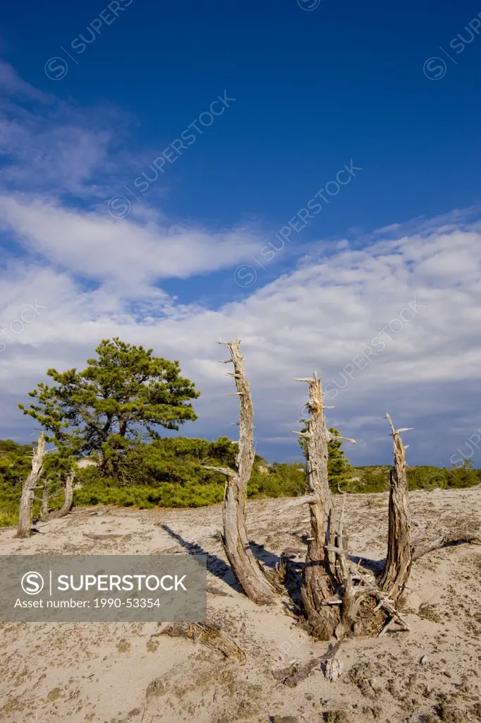 Cape Cod National Seashore, Massachusetts, United States of America
