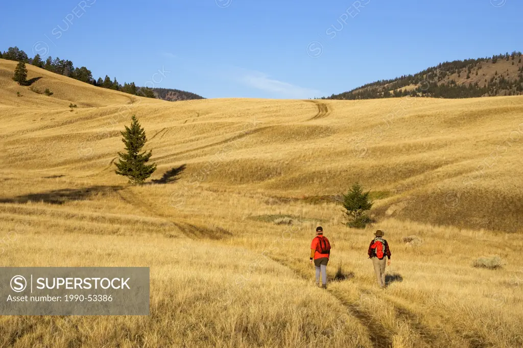 Hiking in Churn Creek Protected Area in the grasslands of British Columbia, Canada