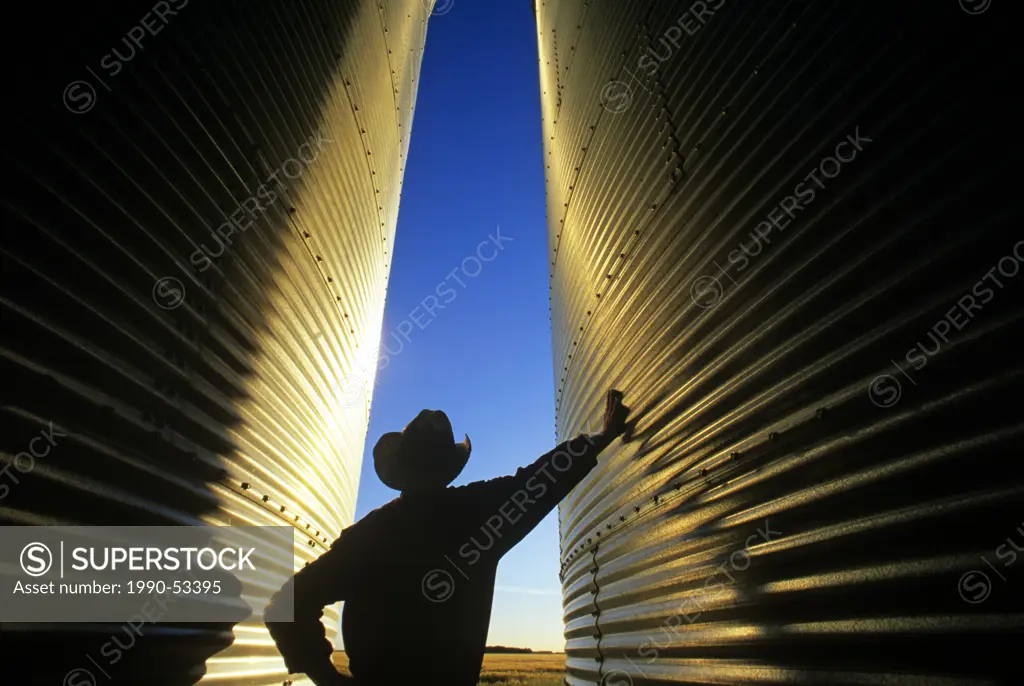 A farmer looks out over his field from his grain storage bins at sunset near Dugald, Manitoba, Canada